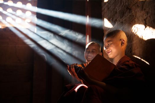 Young Buddhist novice monk reading in monastery. Beautiful natural sunlight from window. Buddhist teaching, Myanmar.