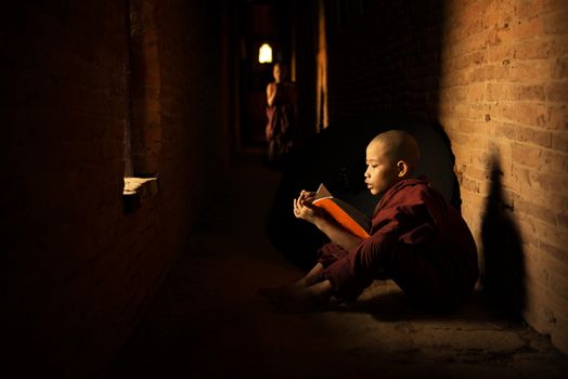 Young Buddhist novice monk reading book inside monastery, natural light shining thru.