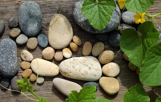 Abstract cute concept on wood background from pebbles, amazing arranged boulder to family of footprint, awesome shape from pebblestone