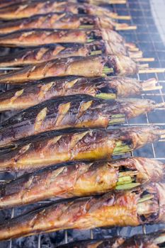 grilled walking catfish on stove