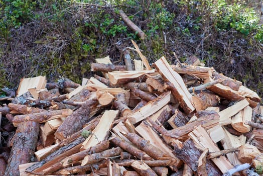 Chopped up woodpile closeup in the forest. 