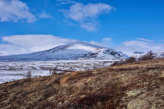 Mountains and landscape of Dovre, Norway at winter time.