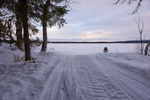 Driving out from a winter forest and heading to a frozen lake using a snowmobile.