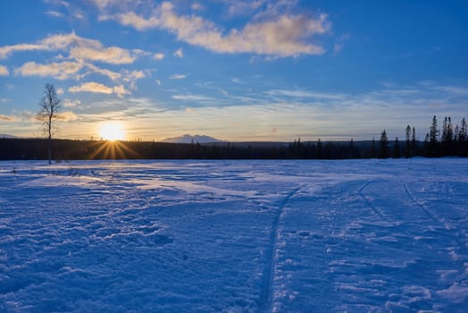 A cold winter landscape at sunset in Sweden.