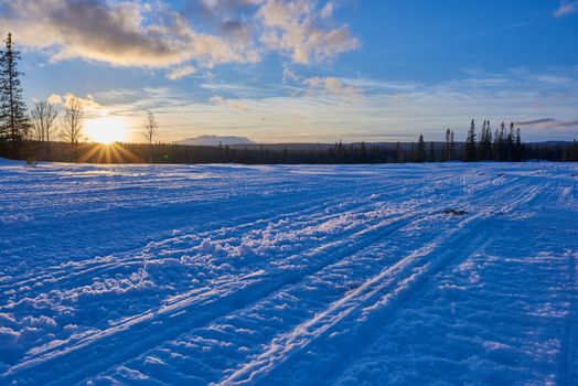 Snowmobile tracks going into the forest at sunset.