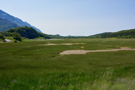 Grassy field in Norway with the mountain range - seven sisters in view.