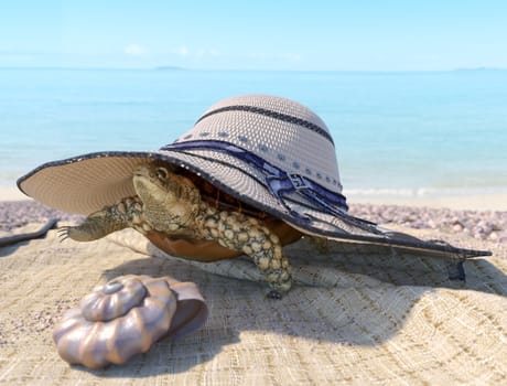 relaxing vacation concept background with seashell, turtle and beach accessories