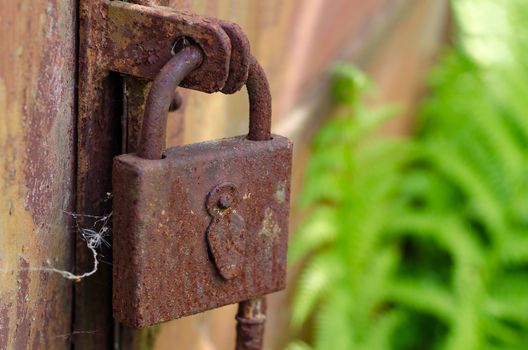 Door lock hanging on the door a long time old rusty