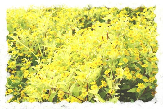 Postcard art concept yellow flowers water paint background