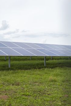 Field with blue siliciom solar cells alternative energy to collect sun energy