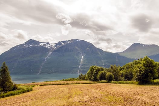 Landscape with mountains, fjord and meadow