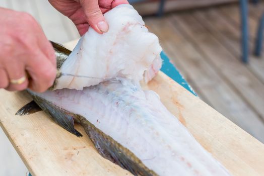 Closeup of man filleting fresh cod