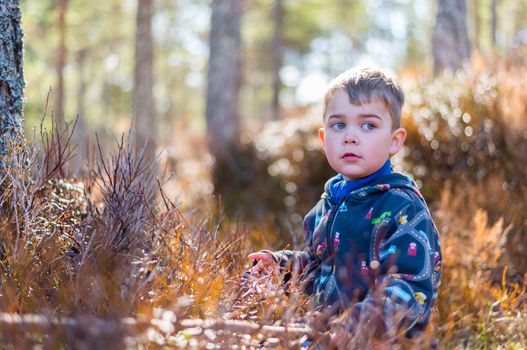 Young thoughtful boy playing in the woods.
