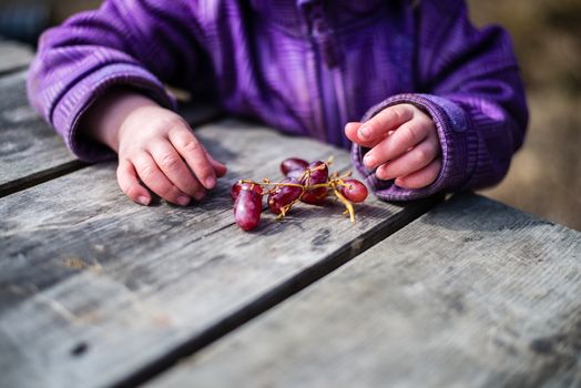 Girl preparing to eat grapes from a wooden bench.