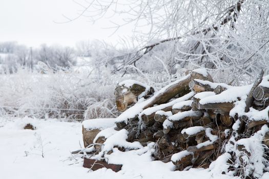 Logs of firewood cut and ready to burn for heat