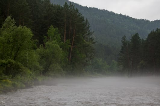 The fog is spread along the fast river early in the morning.