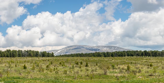 The idyllic landscape: mountains in the background of the forest beyond the meadow