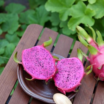 Eating dragon fruit, a tropical fruits, Vietnam agriculture product, with purle, pink color, close up of delicious dessert at garden