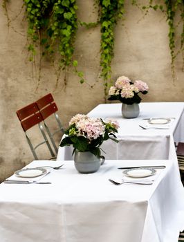 Rustic Celebratory Table Setting with Elegant Plates, Silverware and Bunch of Pink Flowers in Tin Pots closeup on Stone Wall background with Creepers Outdoors. Focus on Foreground