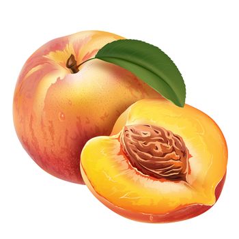 Peach with leaves. Isolated illustration on white background.