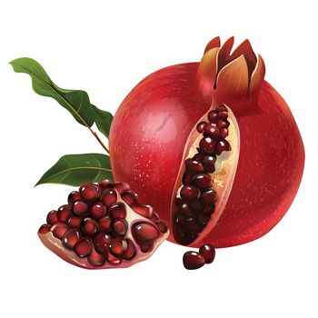 Pomegranate with leaves. Isolated illustration on white background.
