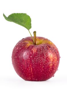 Red apple with water drops isolated on white background