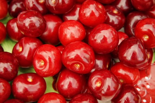 a lot of red cherries on dish, macro background