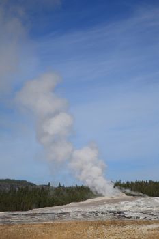 Steaming Old Faithful Geyser and forest at Wyoming Yellowstone National Park.