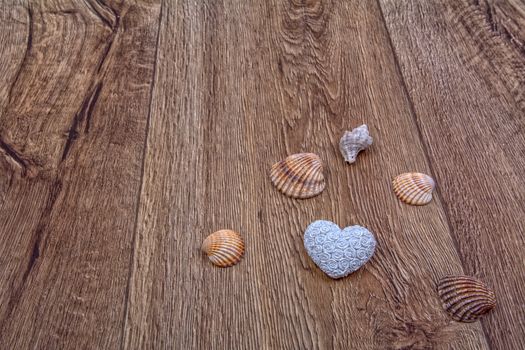White heart and shells on a wooden background