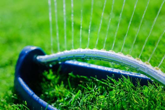 Lawn sprinkler spaying water over green grass. Motion blur. Select focus.