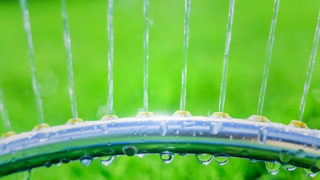 Lawn sprinkler spaying water over green grass. Motion blur. Select focus.