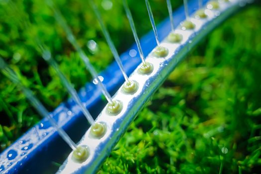 Lawn sprinkler spaying water over green grass. Motion blur. Select focus.