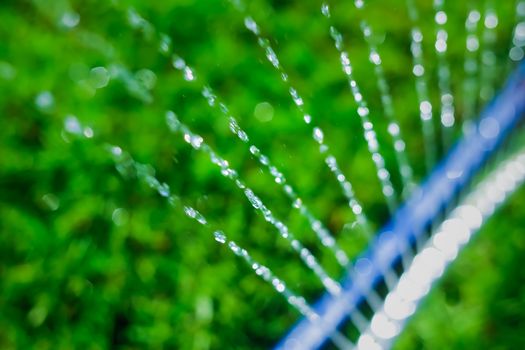 Lawn sprinkler spaying water over green grass. Motion blur. Select focus.