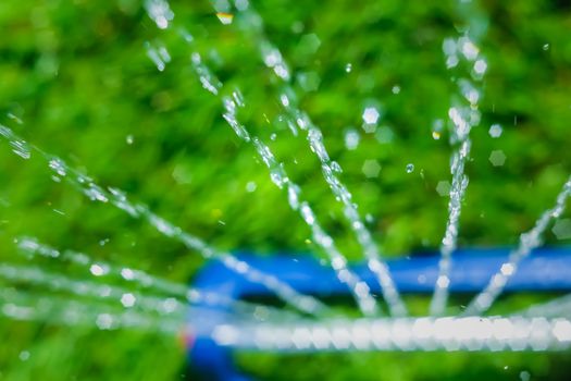 Lawn sprinkler spaying water over green grass. Motion blur. Select focus.