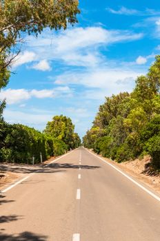 Desert country road in a sunny day of summer