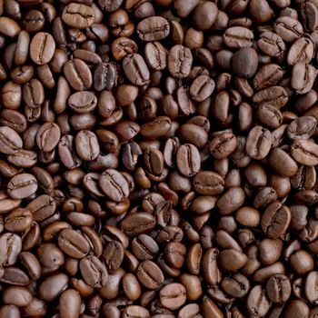 Coffee Beans Background