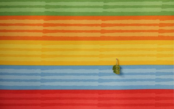 Abstract colorful background stripe textile texture. Macro photo.