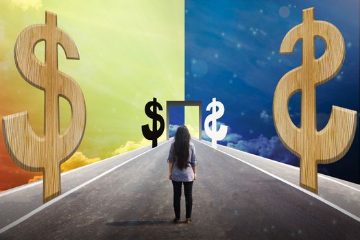 Back or rare of women standing on the road to money door with dollar symbol in concept earning money from black and white way