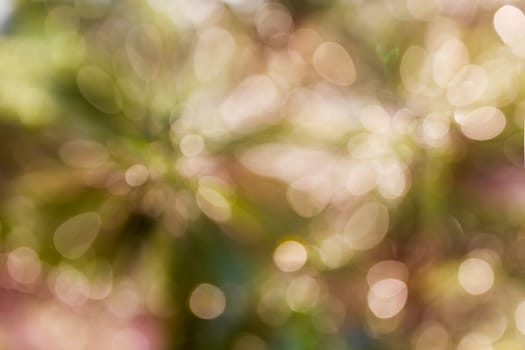 Lovely soft green abstract romantic spring background