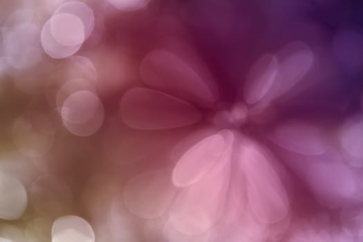 Colourful sweet pink violet spark and blow abstract spring blossom background