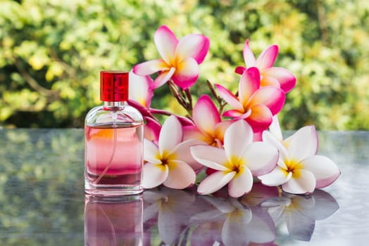 Single bottle of sweet pink fragrant perfume decorated with pink flower plumeria on blurred tree background