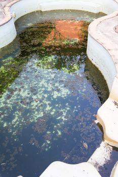 Abandoned and unclean swimming pool