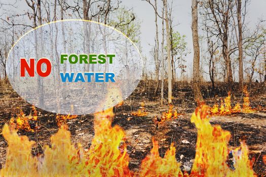 Text no forest no water on burnt tree or wildfire background