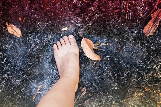Barefoot walk on forest burnt cinders ground, concept of dangerous burnt
