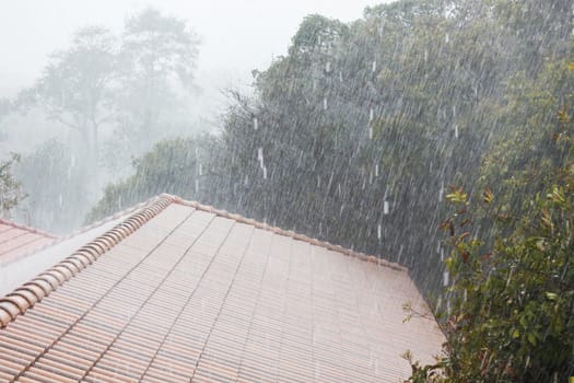 Raining hard from top roof tile or second floor view with nature tree background