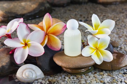 Mini set of bubble bath shower gel liquid with flowers and pebble on waterfall rock  and copy sapce