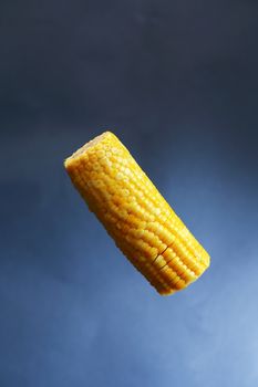 Cooking concept. Corn cob flying against nice dark background