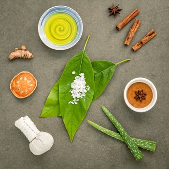 Avocados  leaves with nature spa ingredients turmeric,herbal compress ball,dried indian bael ,cinnamon powder ,cinnamon sticks ,aromatic oil ,star anise,aloe vera  and sea salt on concrete background.