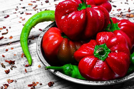 Set of red pepper and paprika on iron plate with bright light background with spices