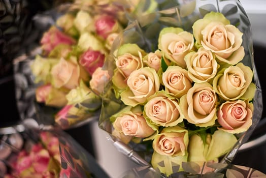 Roses in different colors packed in clear plastic.